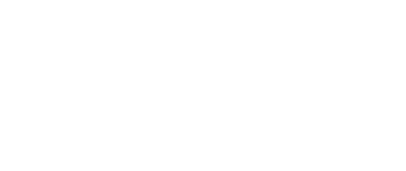 回国加速器 - 海龟伴侣